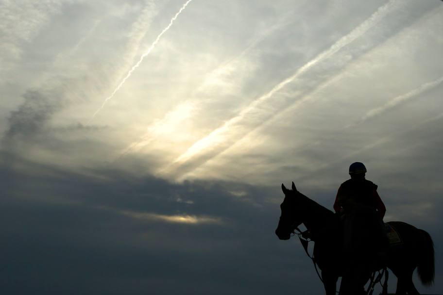 140th Preakness Stakes at Pimlico Race Course on May 15, 2015 in Baltimore, Maryland (AFP)
